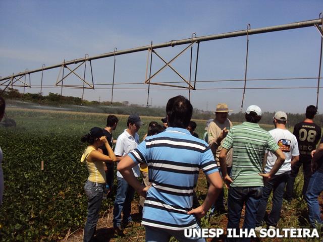 cerrado_10_set_2012 (11).JPG